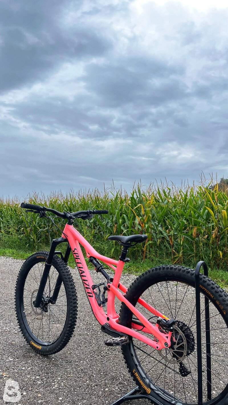 Specialized Camber 2018 used