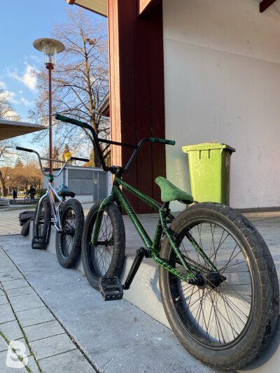 Mafia Bikes Madmain 2019