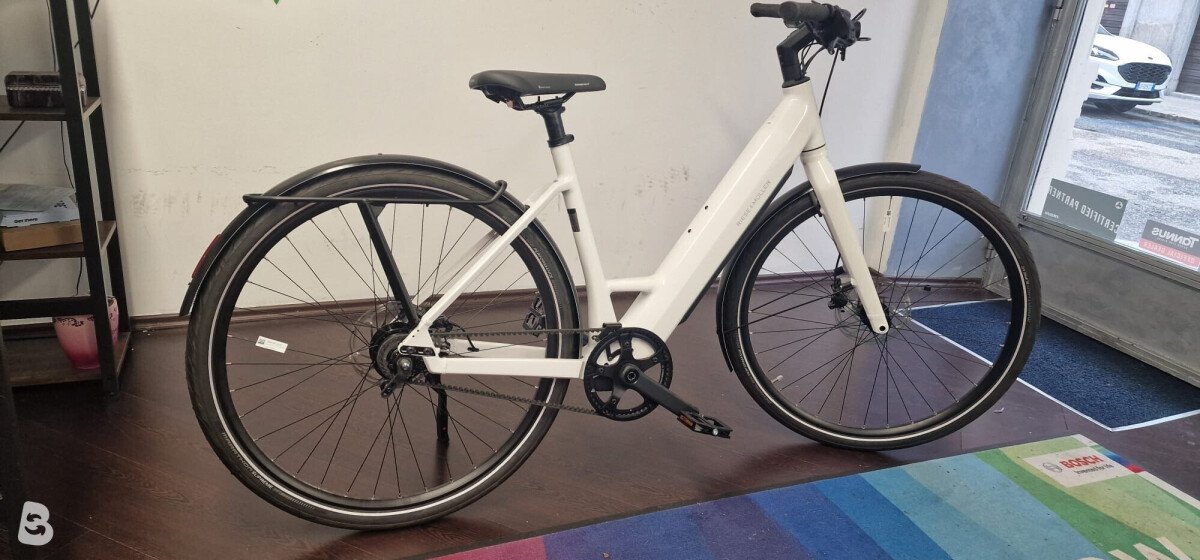 fahrradständer einzeln Fahrradständer Metall stabil für sicheren Stand – Metallwaren Deutschland main image 1