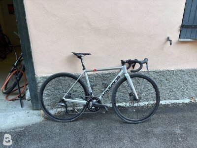 Argon 18 gallium CS disc 2024