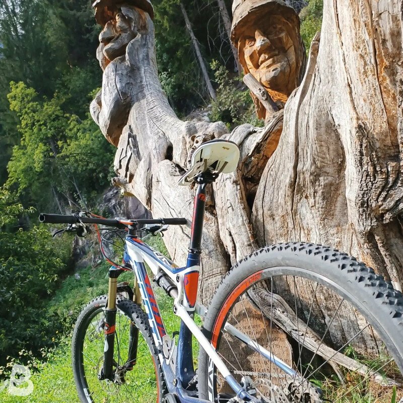 caad13 disc frameset