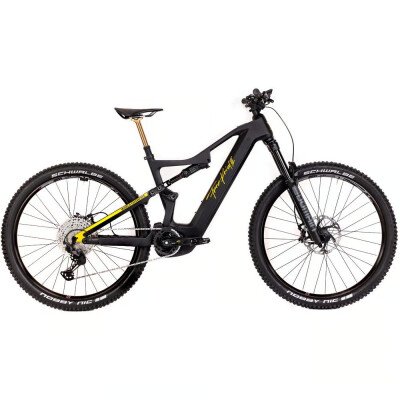 Franz Kneissl World Champion 29" 750Wh Black/Gold 2023