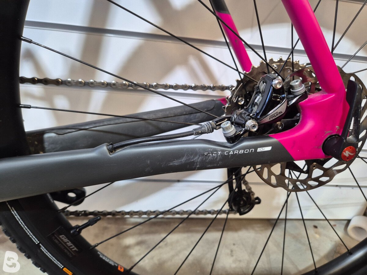 Specialized CruX Expert 2021 used