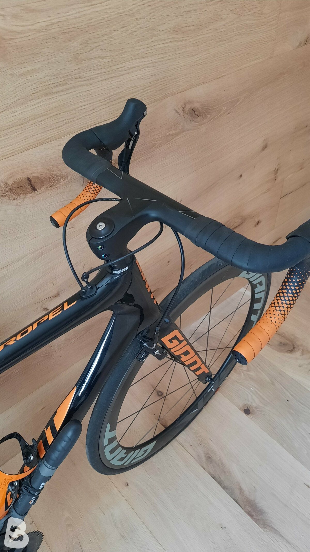 Giant Giant Propel Advance Pro 1 2019 used