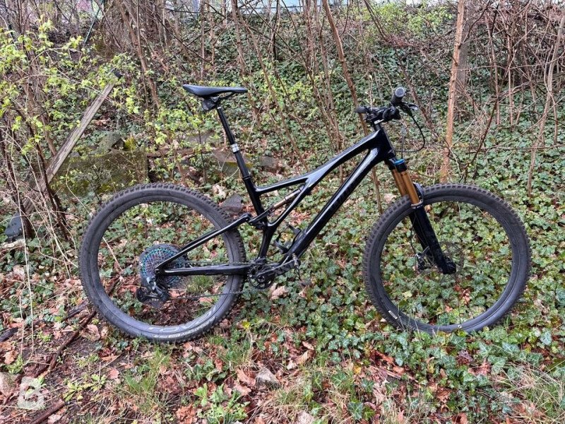 Specialized stumpjumper 29er online 2021