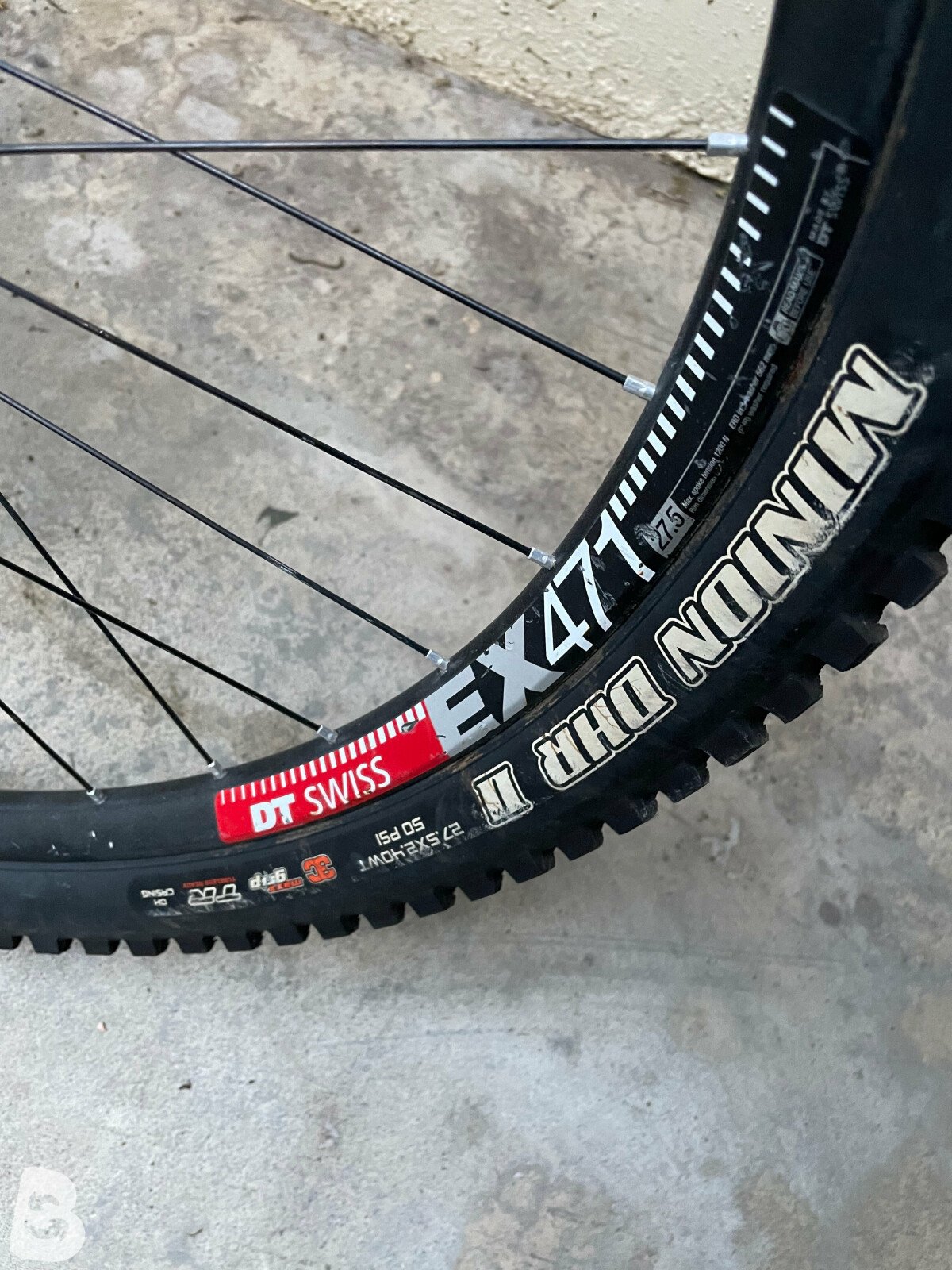 giant glory 2019