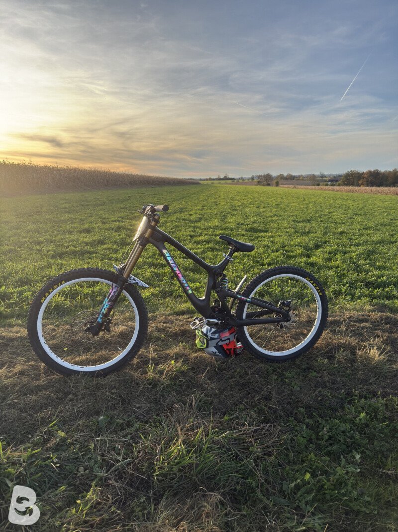 Propain Rage CF High End Custom 2019 used
