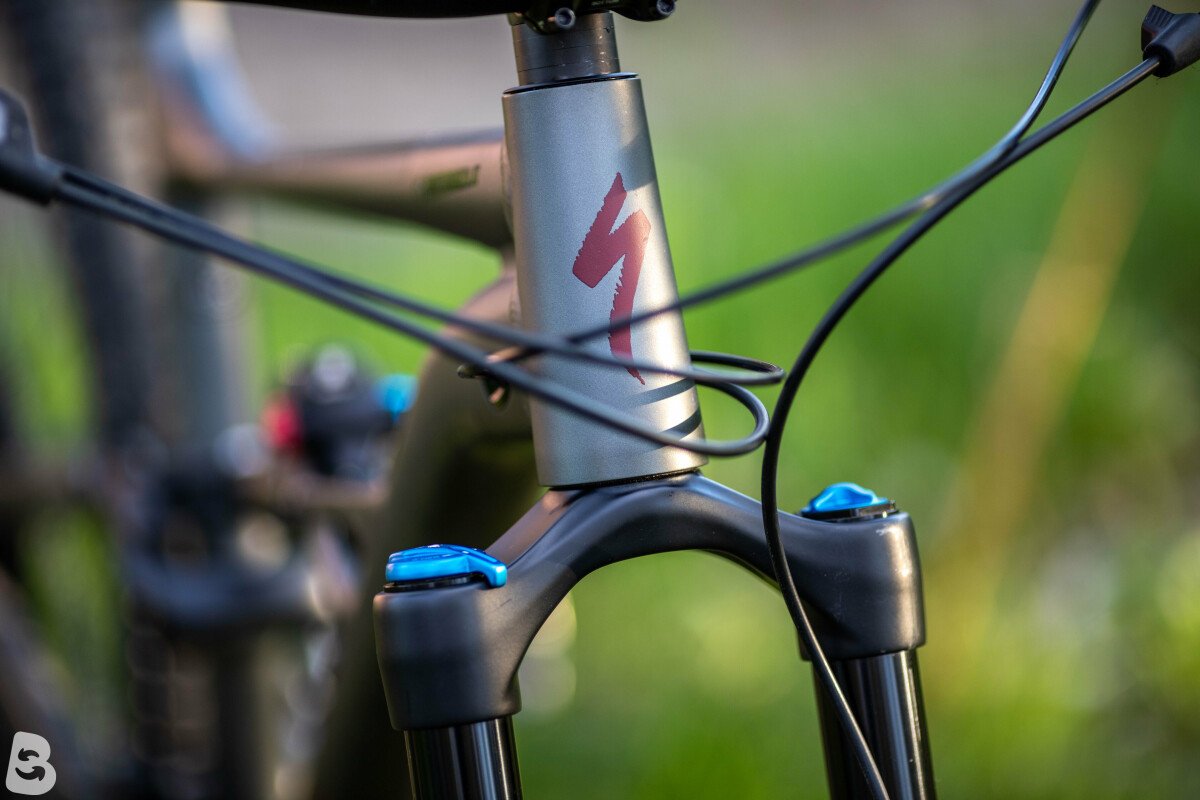 specialised status 2021