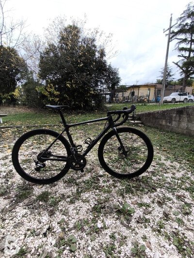 Giant TCR Advanced Pro 1 Disc 2023