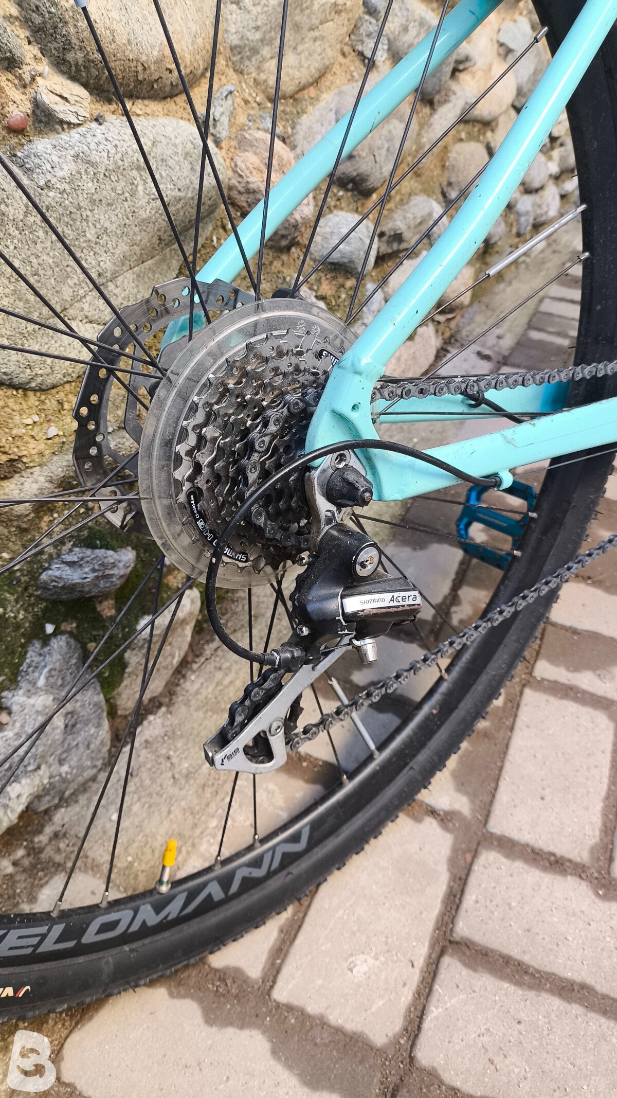 Bianchi C Sport 2022 used