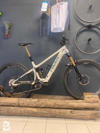 Pivot Shuttle AM 2024