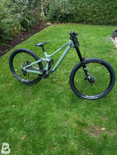 Scott Gambler 910 2021