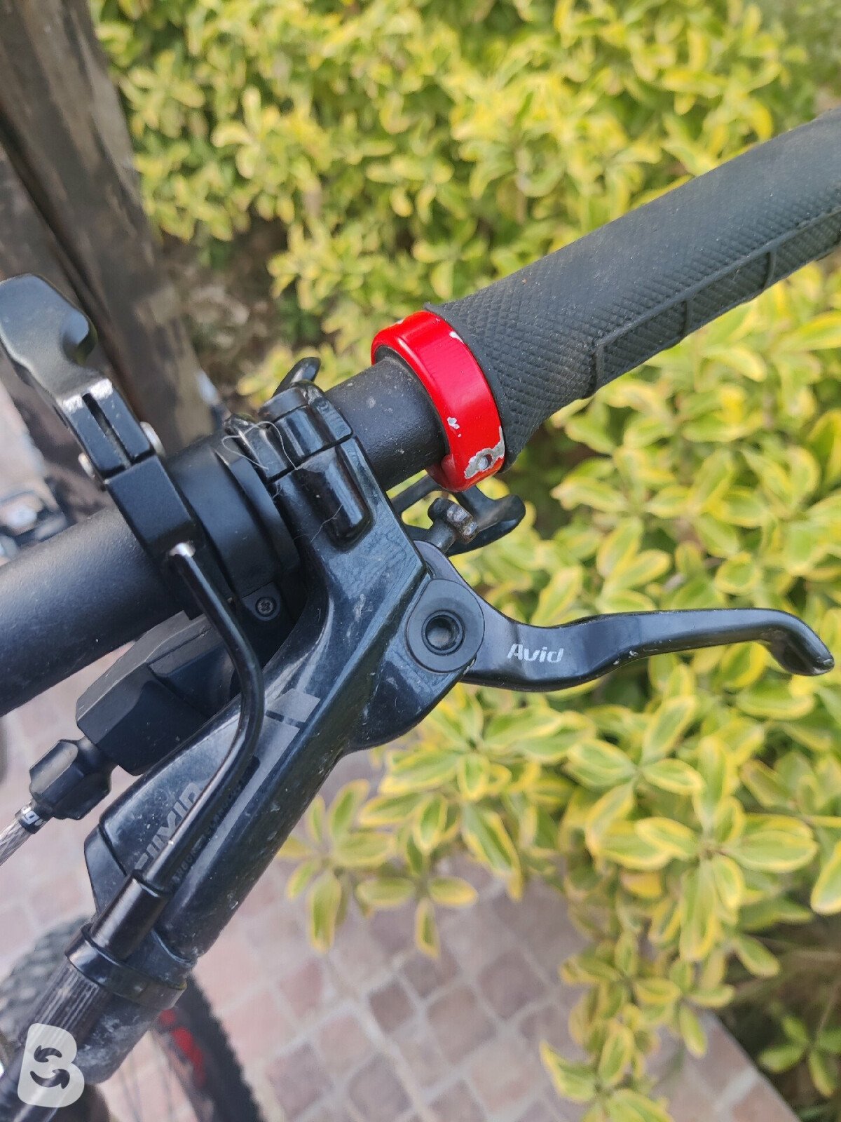 specialized comp carbon