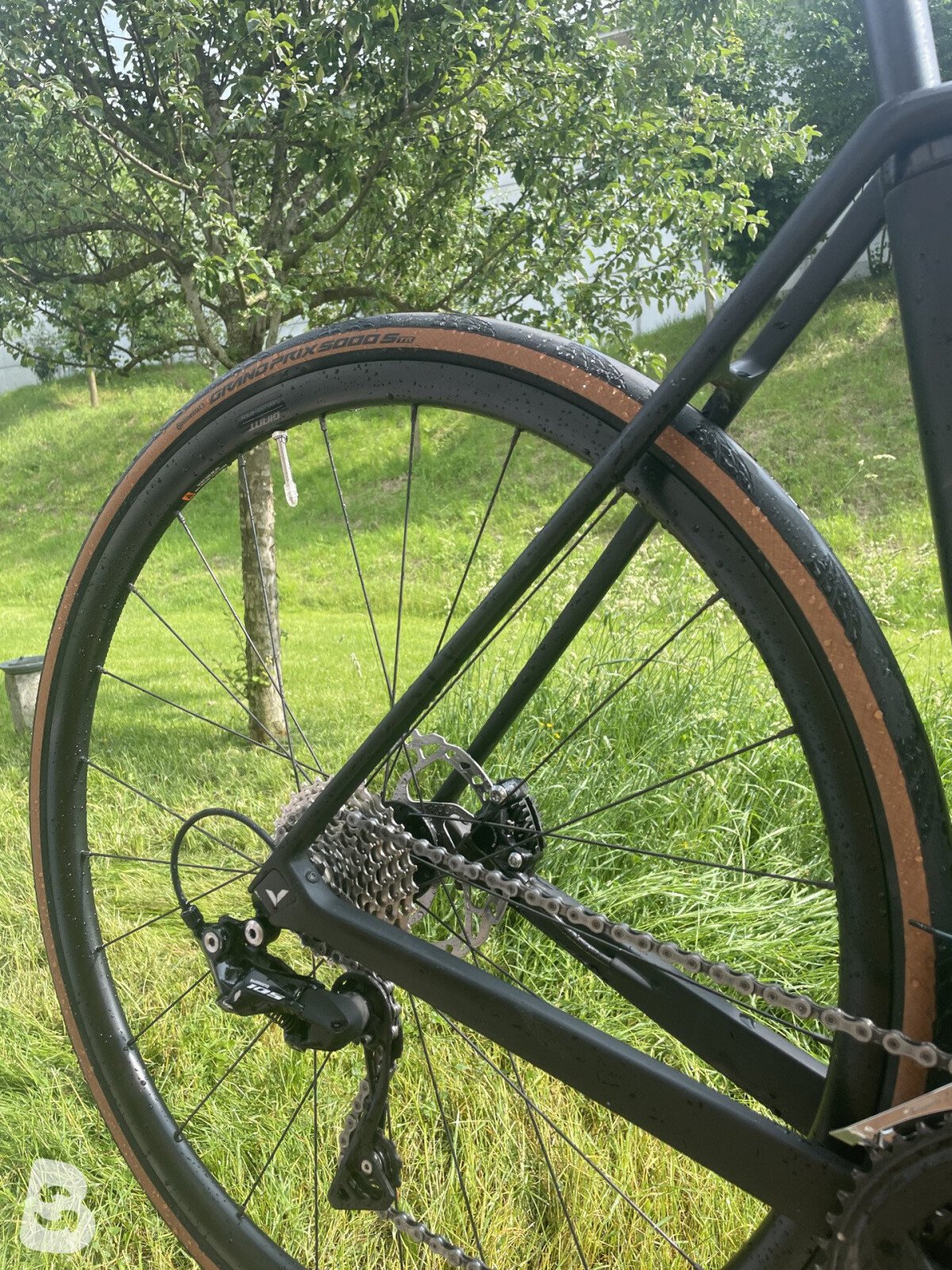 Votec Rennrad 2024