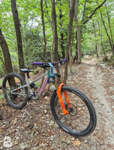 Pivot Firebird Pro X01 2023