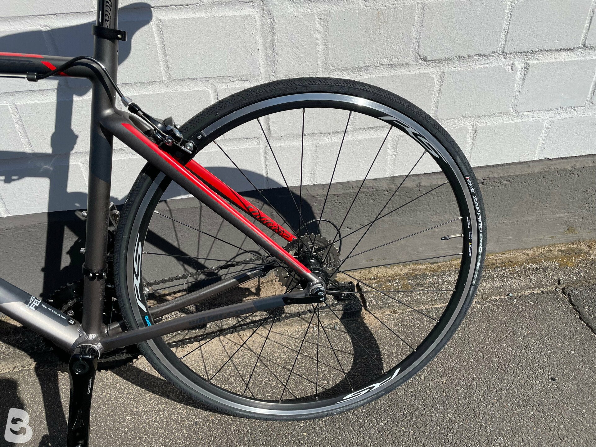 Wilier 2025 montegrappa 2019