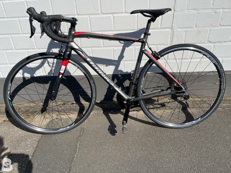 wilier triestina montegrappa 2019