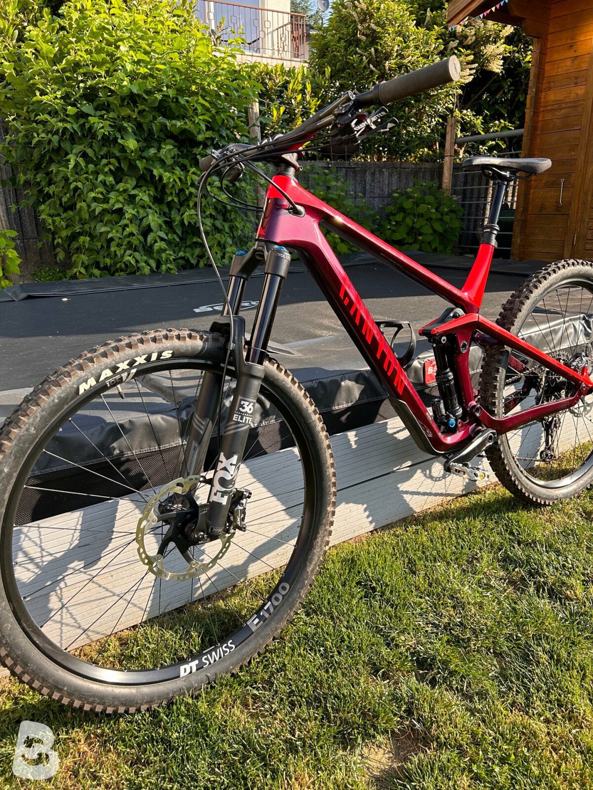 Canyon strive 5.0 on sale