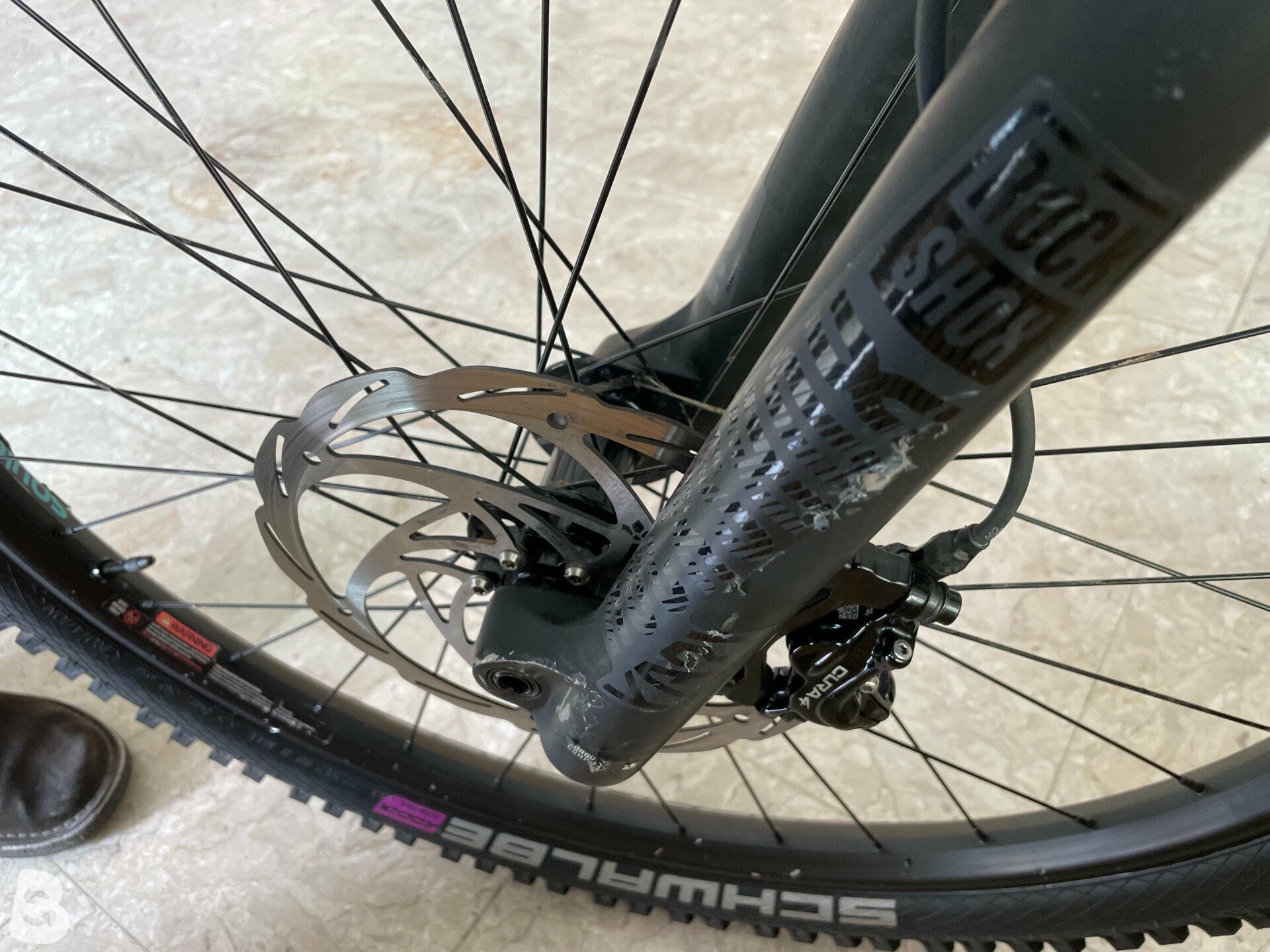 Gt force al elite 2019 cheap