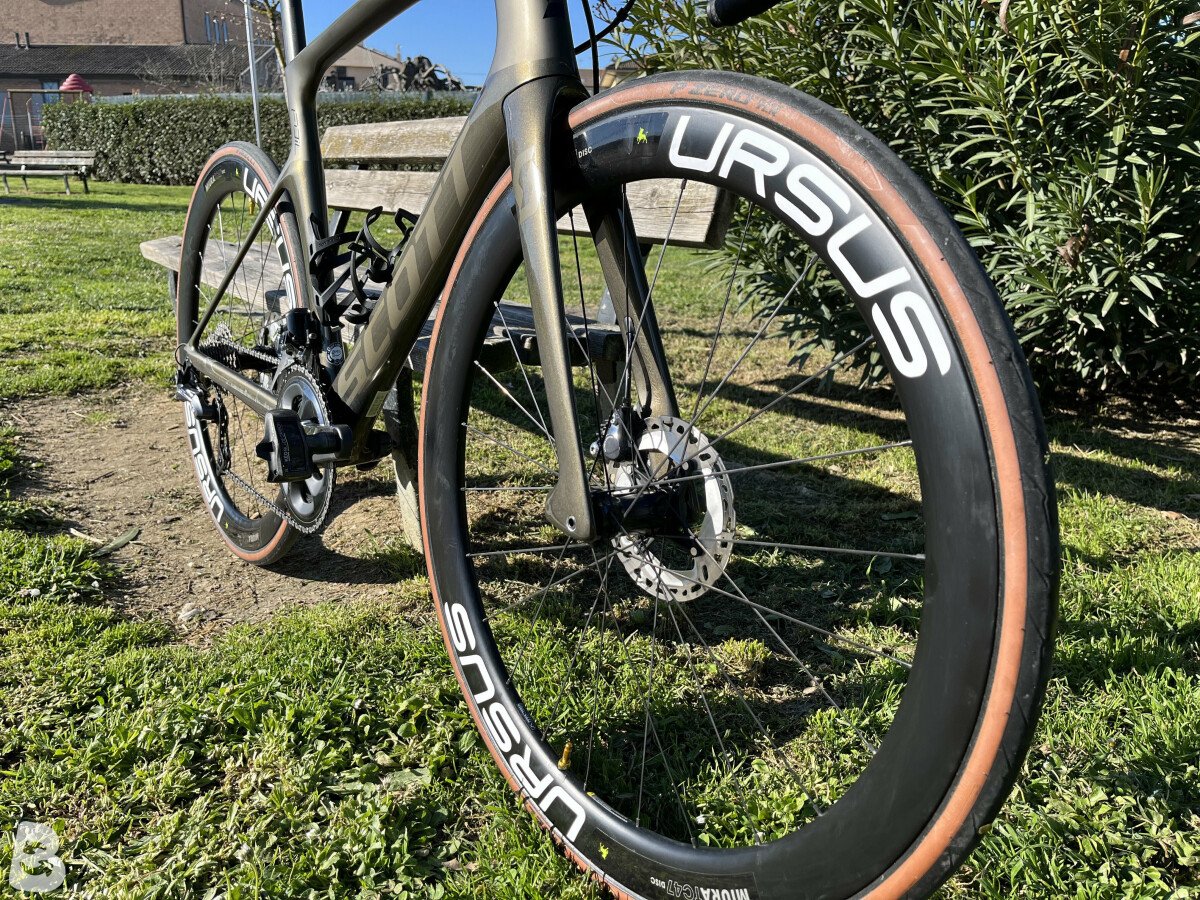 Foil 10 disc store 2020