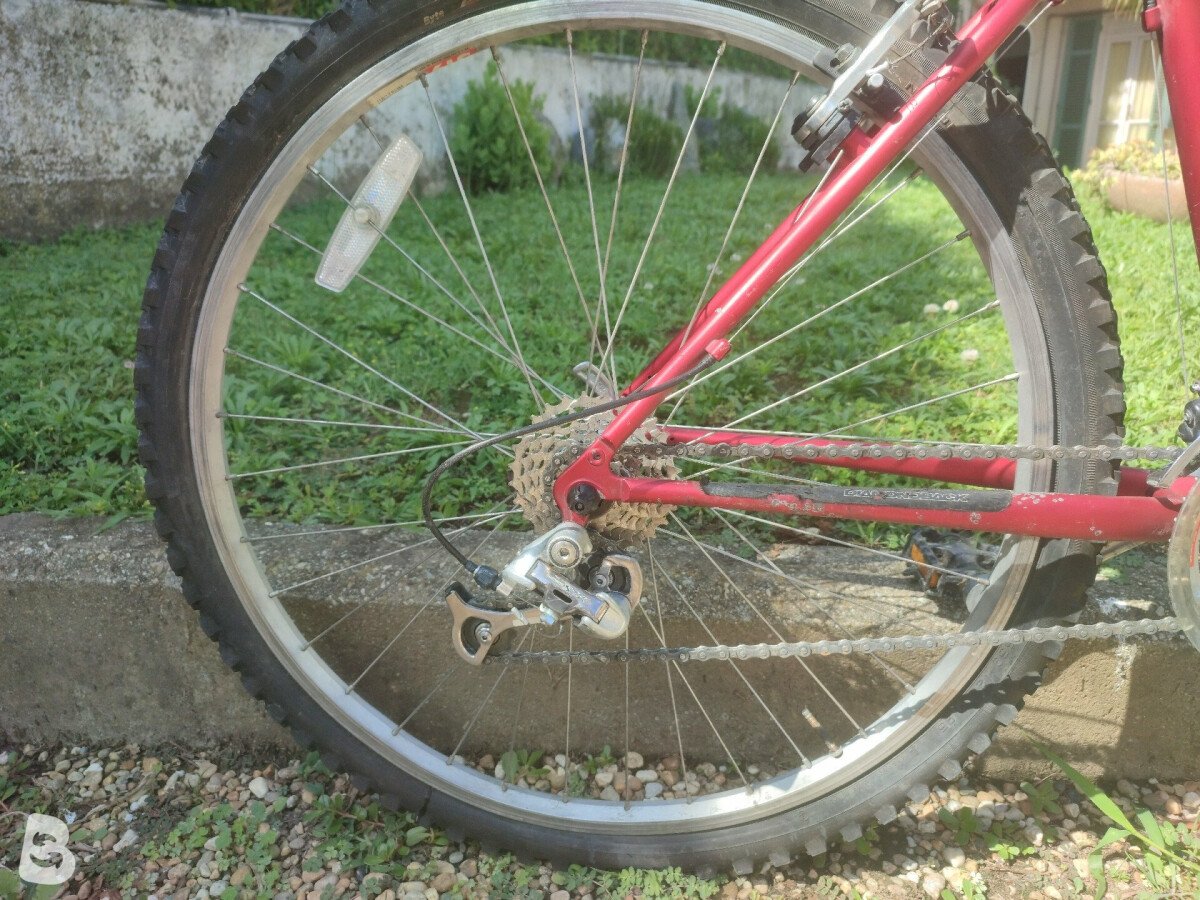 diamondback topanga green