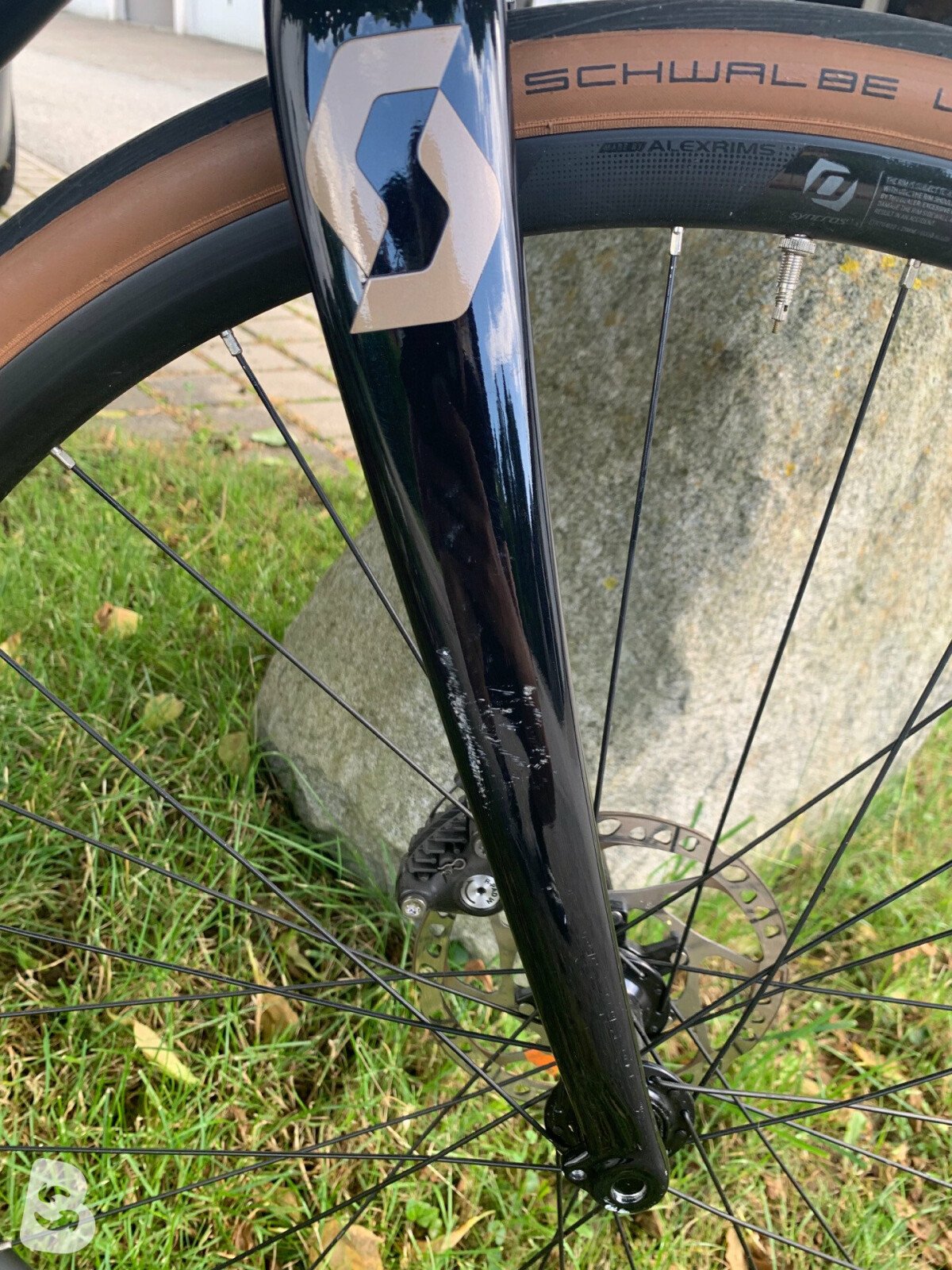 speedster 20 disc 2021