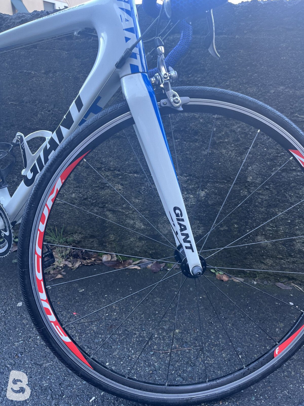 Giant Tcr used