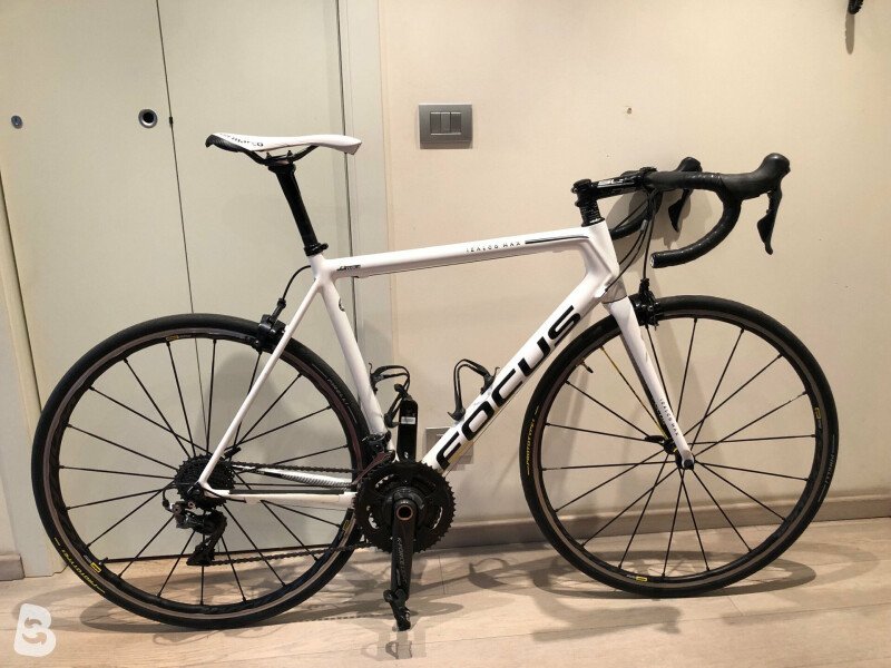 focus izalco max 2018