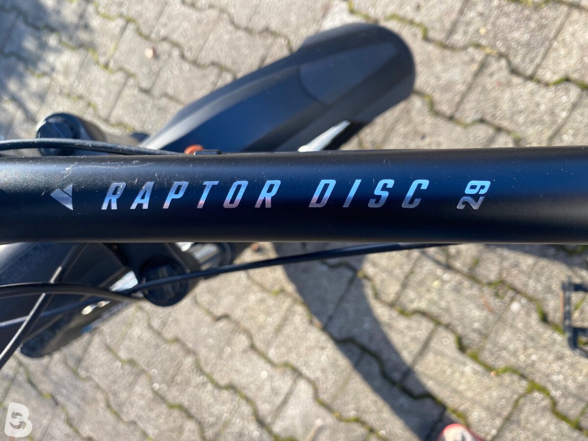 Bulls Raptor Disc 2025 used