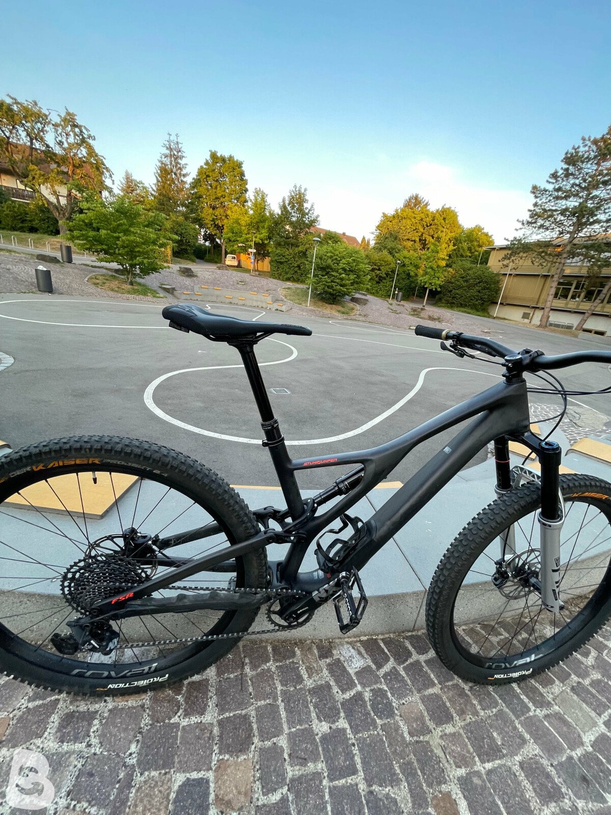 Stumpjumper 2020 best sale carbon