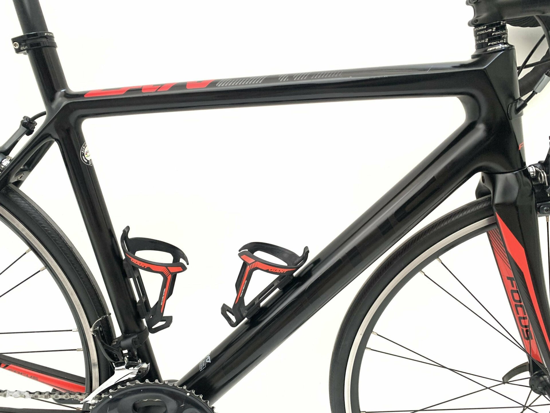 Focus discount cayo carbon