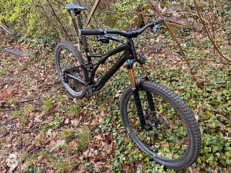 Stumpjumper st discount s works 2019