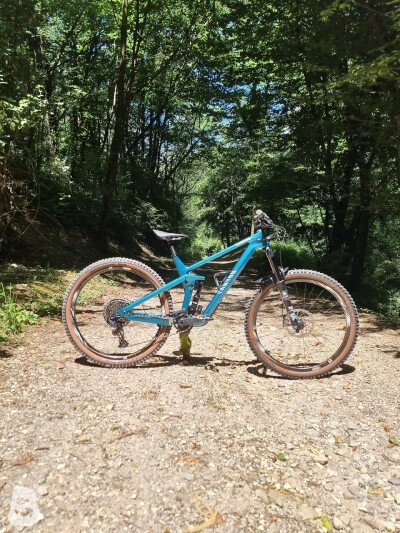 Canyon Strive CF 8.0 2019