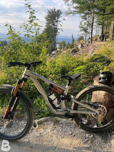 Specialized Stumpjumper 15 Fox Coil S3 Frameset 2025