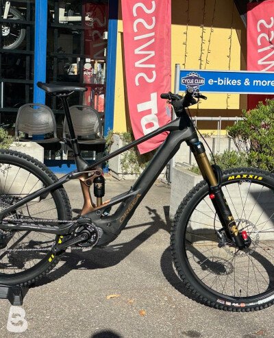 Orbea WILD M10 custom 2026