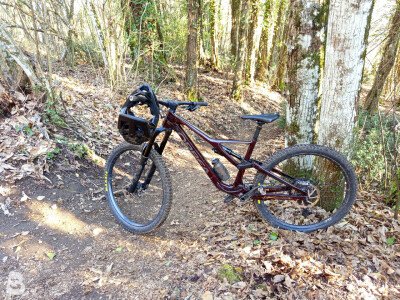 Orbea Rallon M10 2023