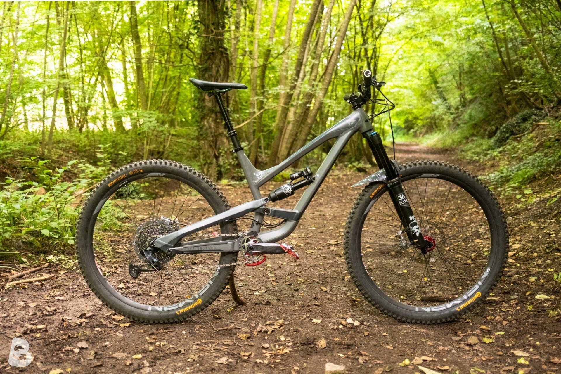 Yt capra 29 al cheap comp 2019