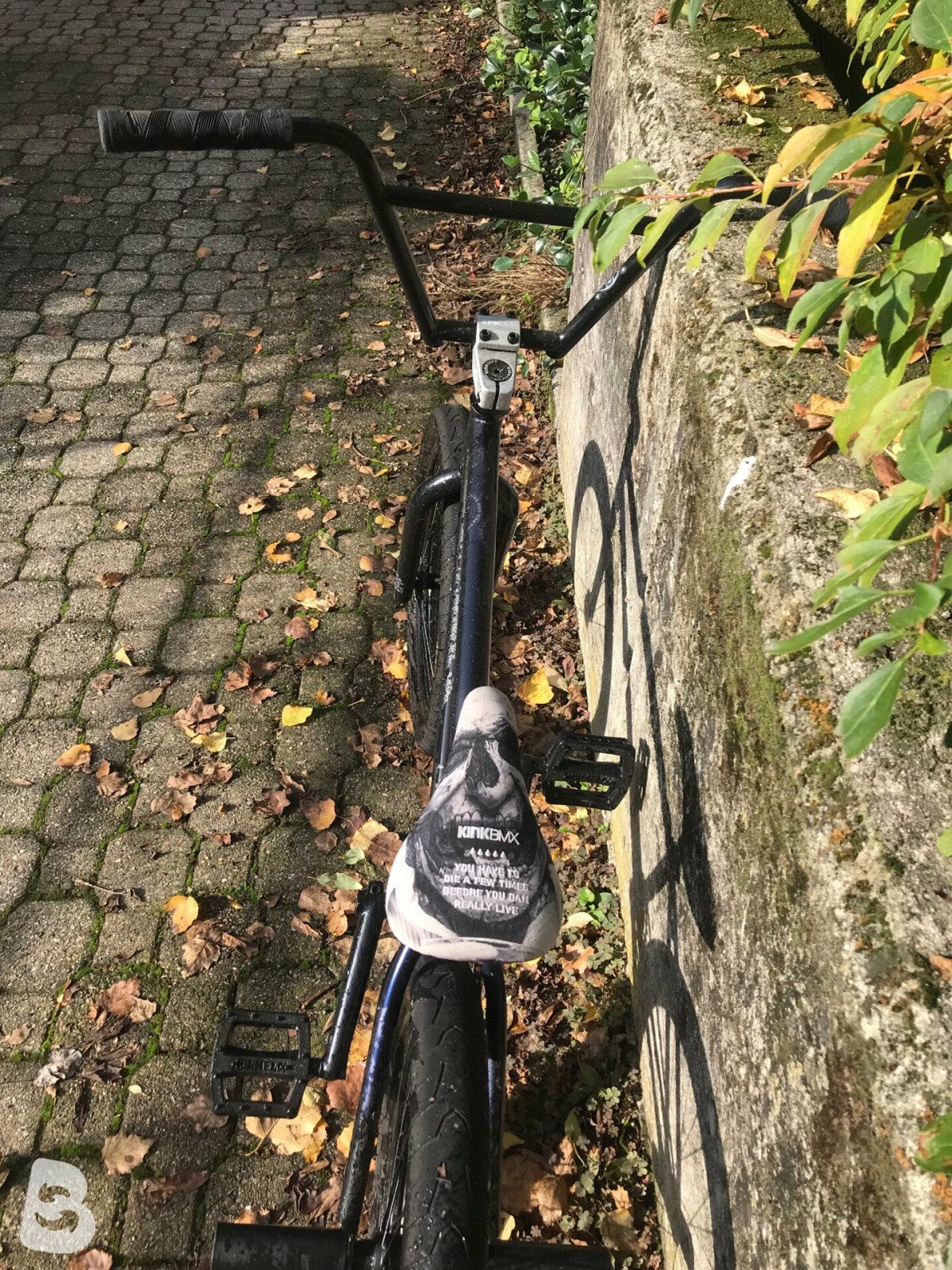 Kink BMX Switch 2021 used