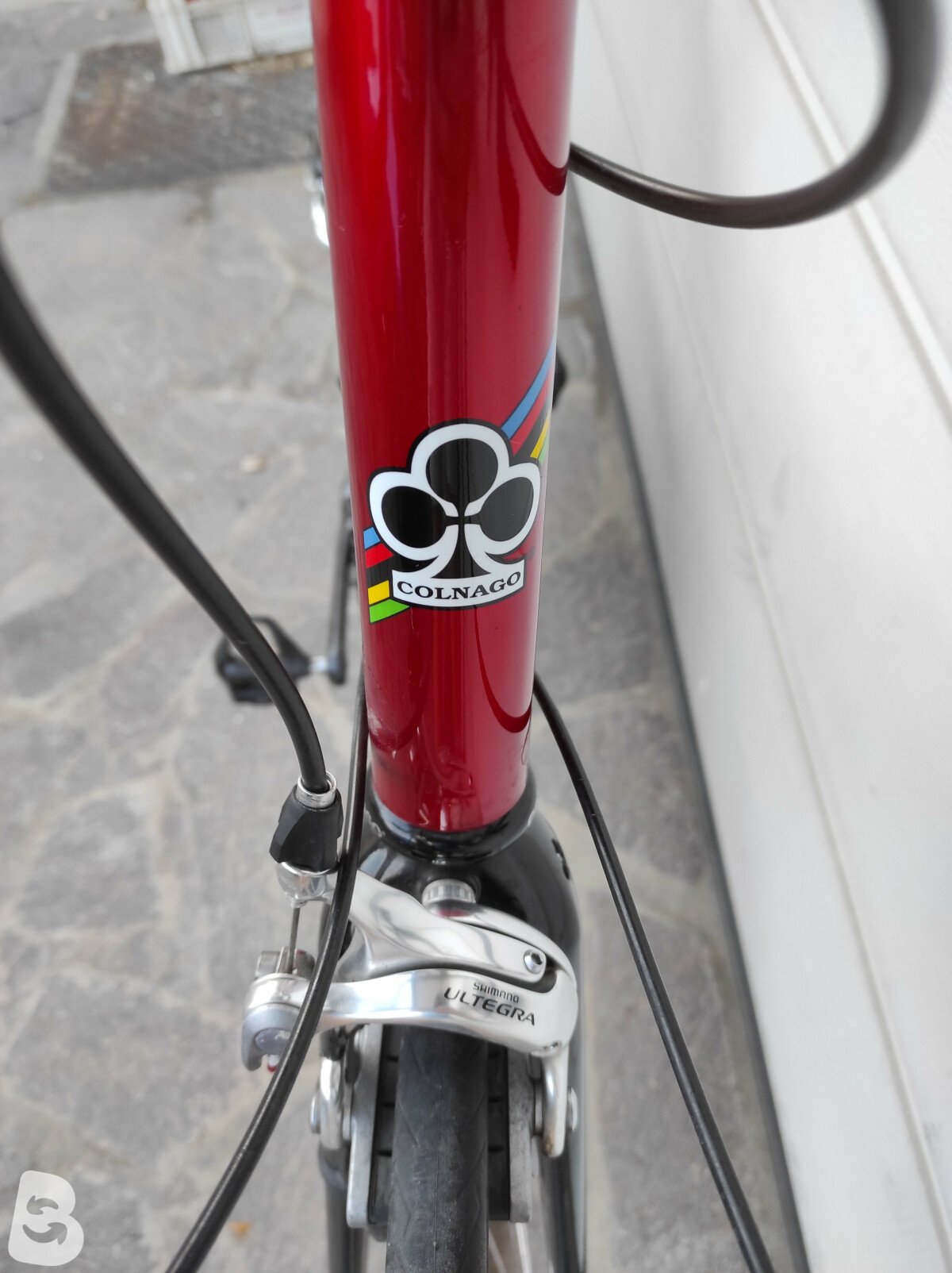 自転車本体 COLNAGO ARTE Colnago Arte