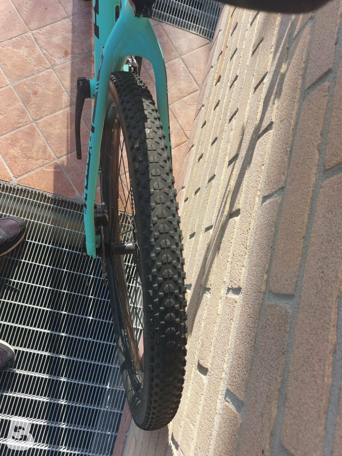 Bianchi best sale grizzly 2020