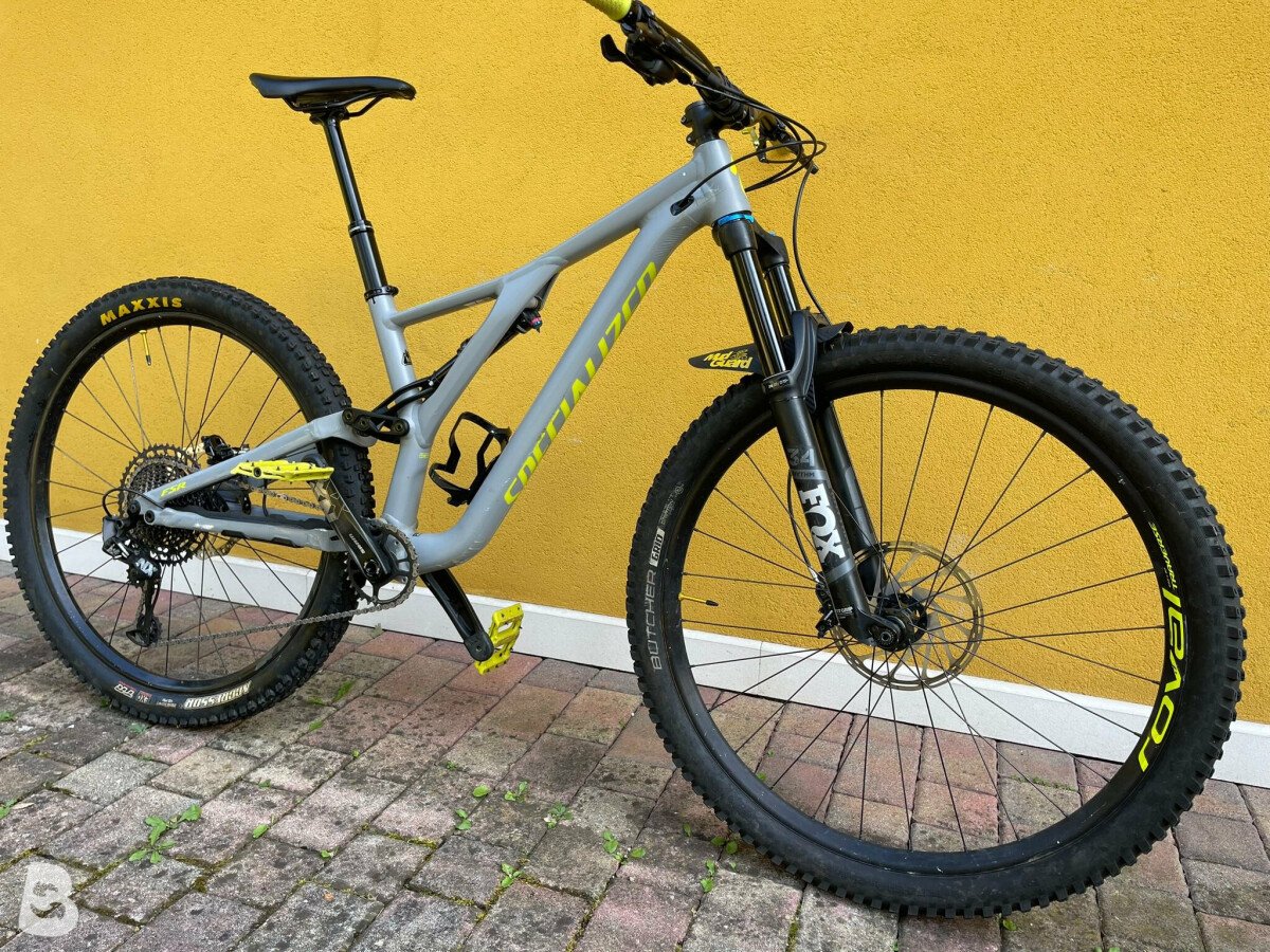 2019 specialized stumpjumper st hot sale alloy