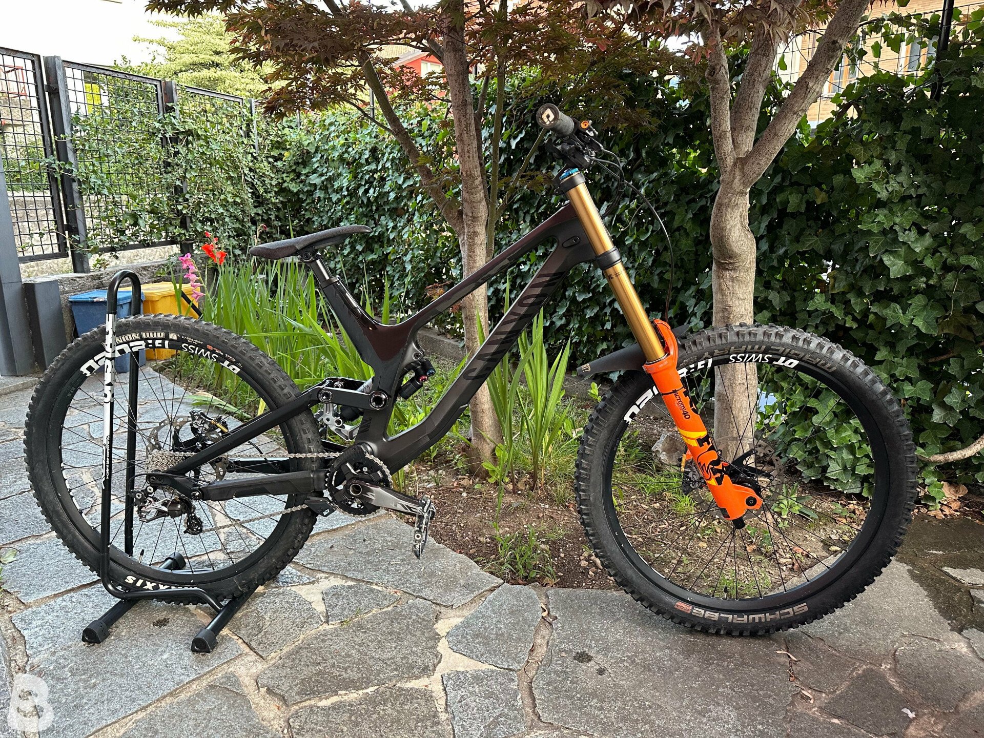 Canyon sender cheap cf 8.0 2019