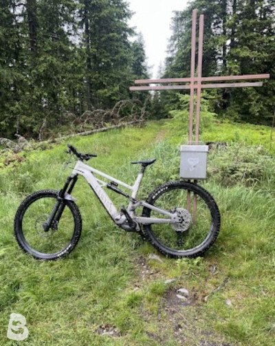 Canyon Torque:ON 8.0 2021