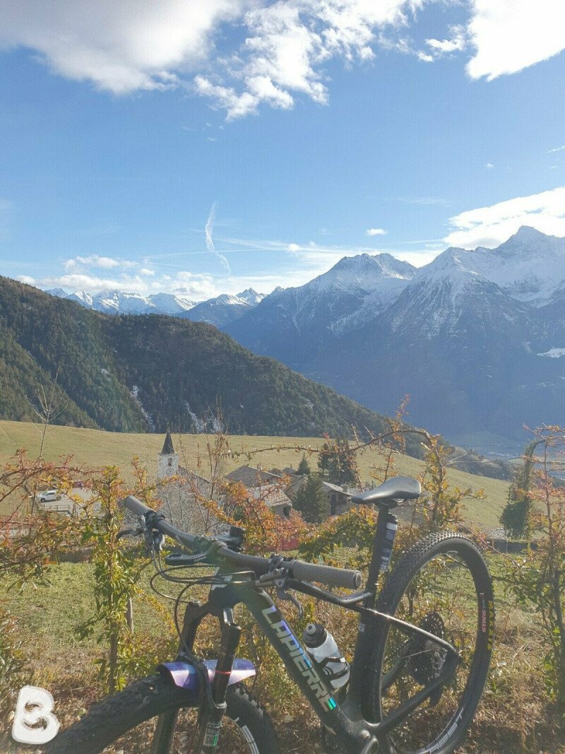 prorace carbon frame review