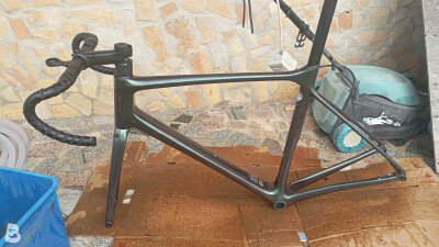 Giant TCR 2025