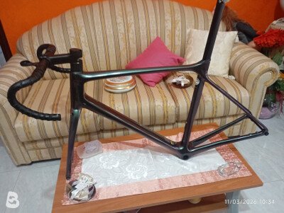Giant TCR 2025