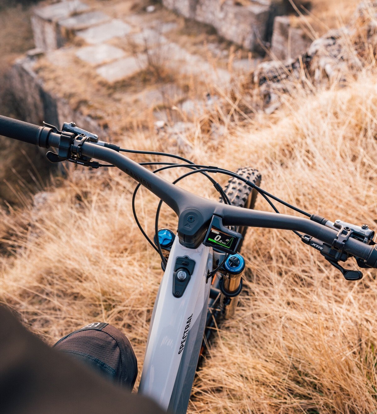 Die besten Mountainbikes fr Einsteiger 2026. Alles, was du vor dem Kauf  wissen musst | Bikeflip