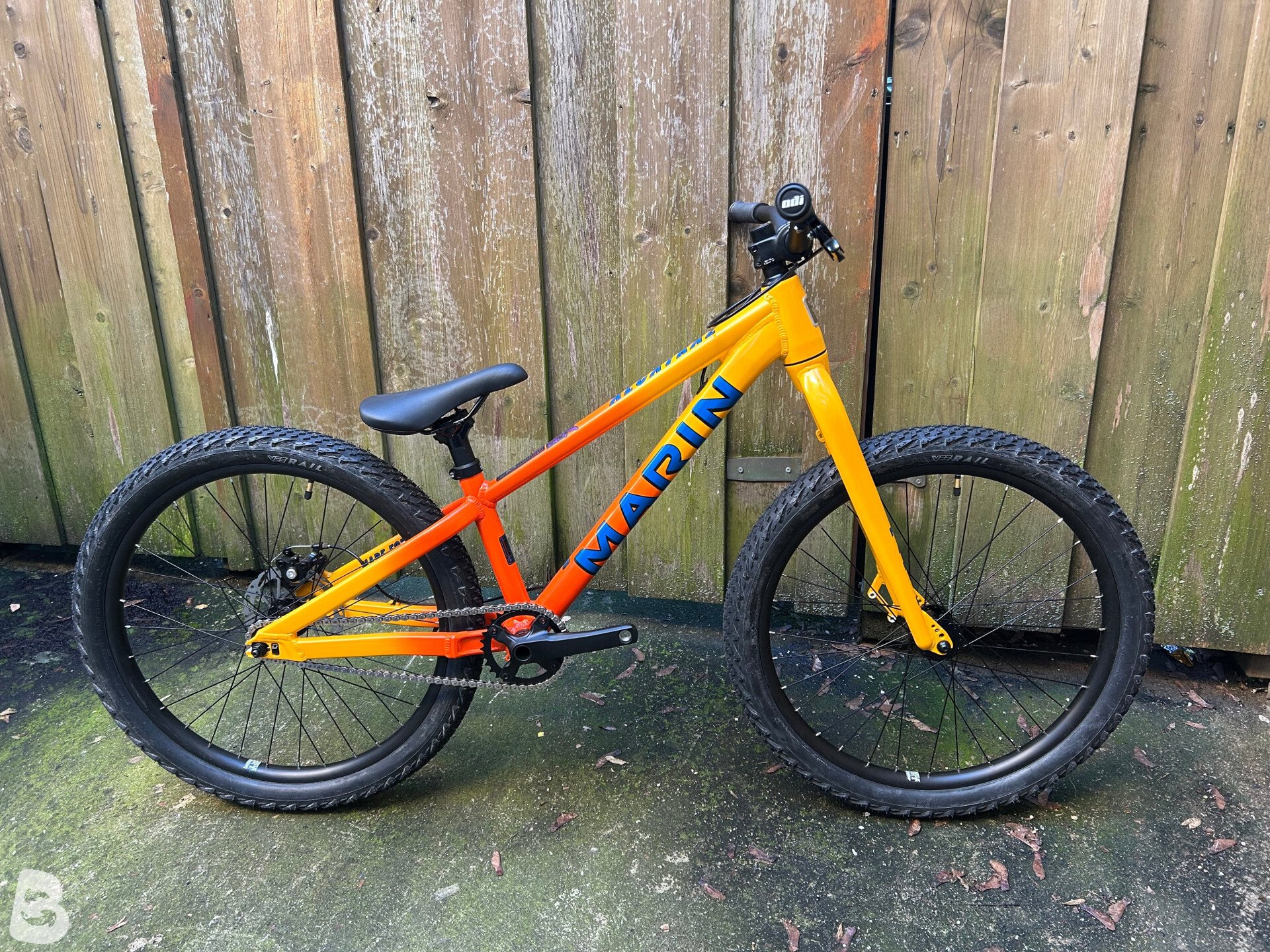 IMG_5589___optimized-bike-ad-