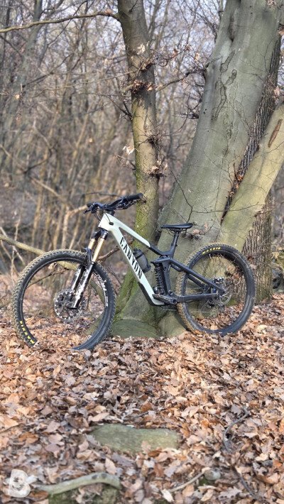 Canyon Strive 2022