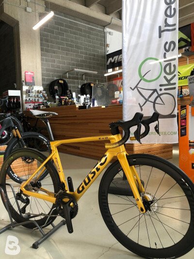 Gusto COBRA EVO DB PRO TEAM EDITION 2026